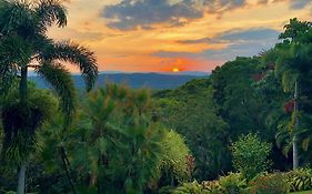 Daintree Manor B&B